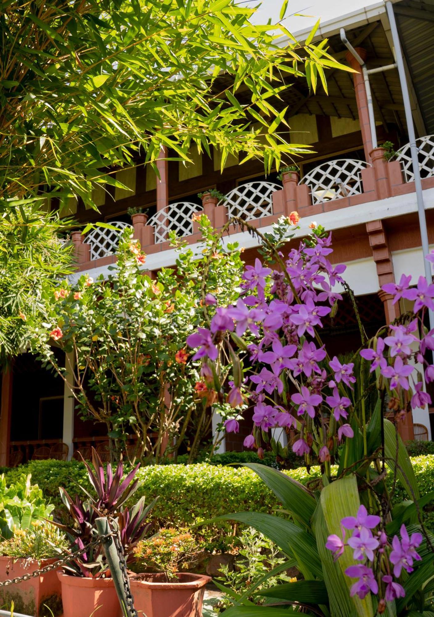 The Nest Inn Resort Masinagudi Bagian luar foto